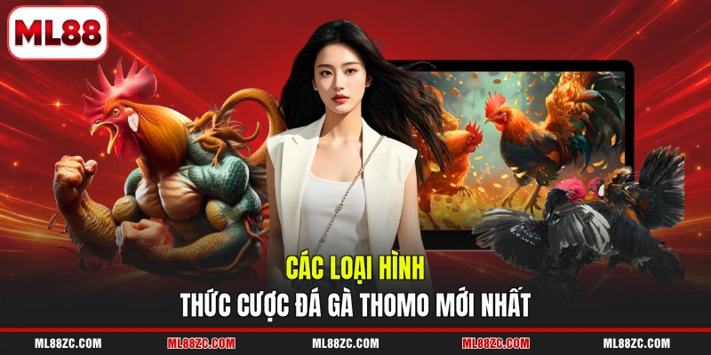 Đá Gà Thomo - Đấu Trường Chọi Kê Hàng Đầu Năm 2026 Đá Gà Thomo - Đấu Trường Chọi Kê Hàng Đầu Năm 2026