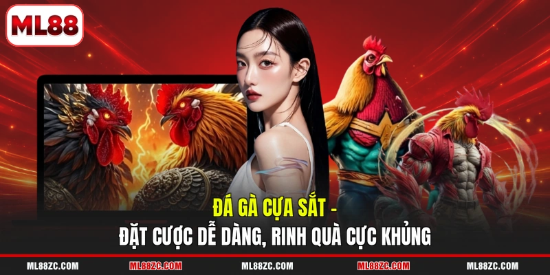 Đá Gà ML88 - Top 3 Thể Loại Game Đặc Sắc Nhất Năm 2026 Đá Gà ML88 - Top 3 Thể Loại Game Đặc Sắc Nhất Năm 2026