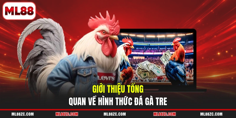 Đá Gà Tre - Trải Nghiệm Từng Trận Đấu Gay Cấn 2026 Đá Gà Tre - Trải Nghiệm Từng Trận Đấu Gay Cấn 2026
