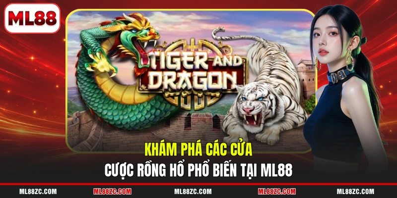 Rồng Hổ - Hướng Dẫn Chi Tiết Quy Tắc Của 3 Cửa Cược Rồng Hổ - Hướng Dẫn Chi Tiết Quy Tắc Của 3 Cửa Cược