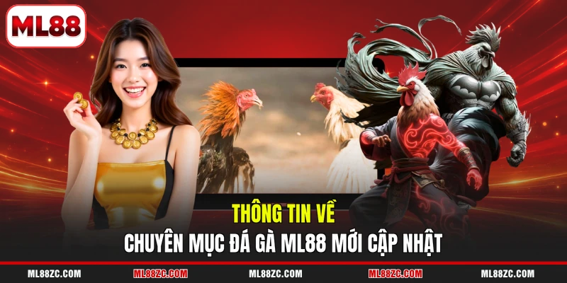 Đá Gà ML88 - Top 3 Thể Loại Game Đặc Sắc Nhất Năm 2026
