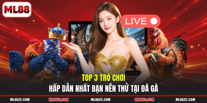 Đá Gà ML88 - Top 3 Thể Loại Game Đặc Sắc Nhất Năm 2026